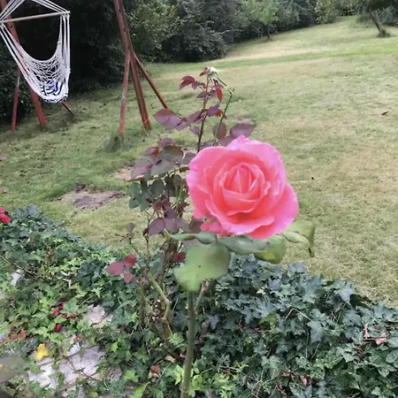 Aussichtszimmer Mit Modernem Glasbad Und Balkon * Koblenz (Rhineland-Palatinate)