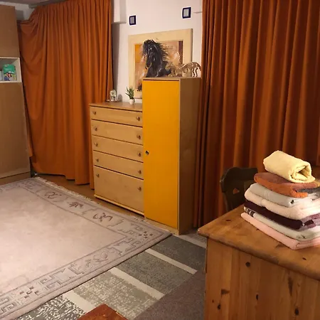 Aussichtszimmer Mit Modernem Glasbad Und Balkon Koblenc
