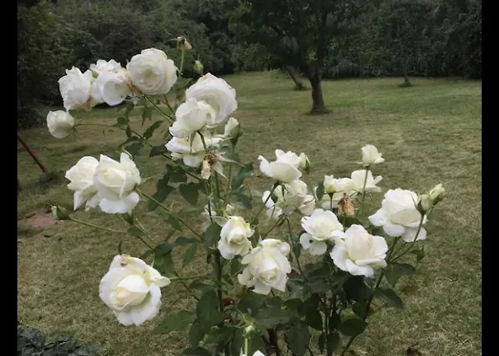 Aussichtszimmer Mit Modernem Glasbad Und Balkon