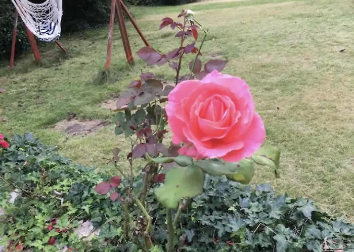 Aussichtszimmer Mit Modernem Glasbad Und Balkon * Koblenz (Rhineland-Palatinate)