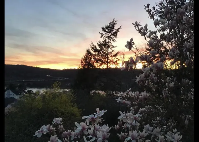 Aussichtszimmer Mit Modernem Glasbad Und Balkon Homestay Koblenz (Rhineland-Palatinate)
